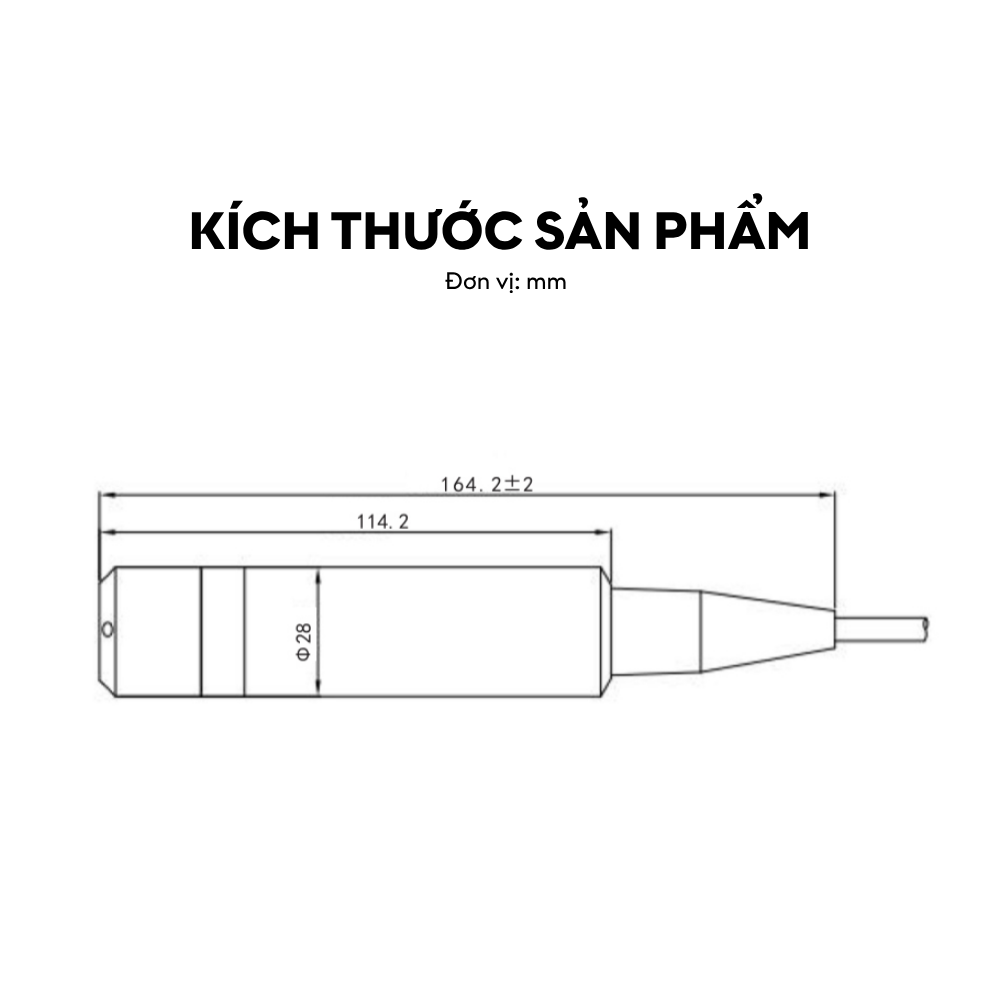 Kích thước Cảm biến nhiệt độ và mực nước LFT3200