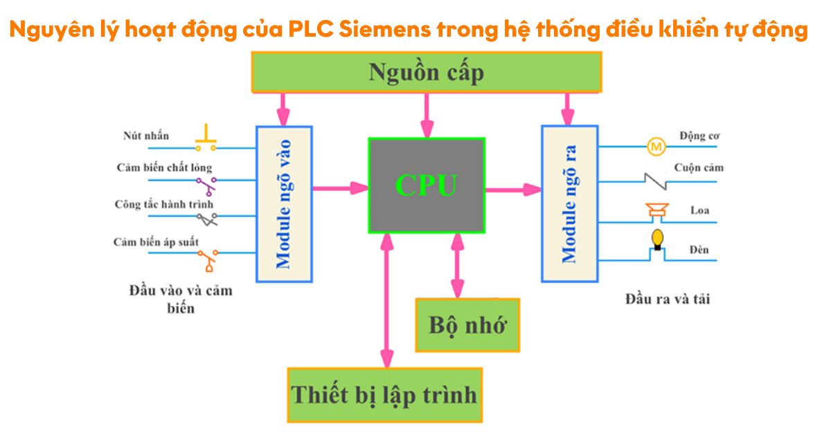 Nguyên lý hoạt động của PLC Siemens trong hệ thống điều khiển tự động