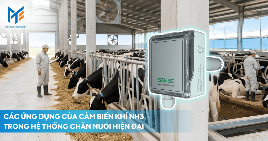 Các ứng dụng của cảm biến NH3 trong hệ thống chăn nuôi Hiện đại