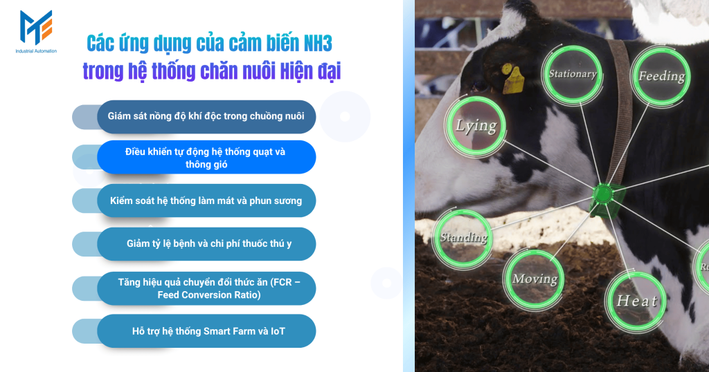 Các ứng dụng của cảm biến NH3 trong hệ thống chăn nuôi Hiện đại