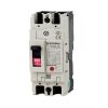 MCCB Mitsubishi NF250-CV 2P 100A 36kA