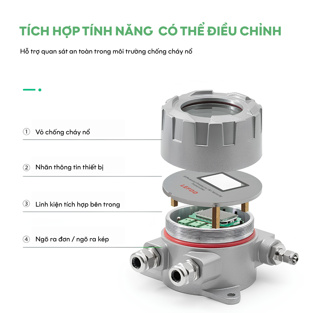 Cấu tạo Bộ đo chênh lệch áp suất chống cháy nổ LFM76